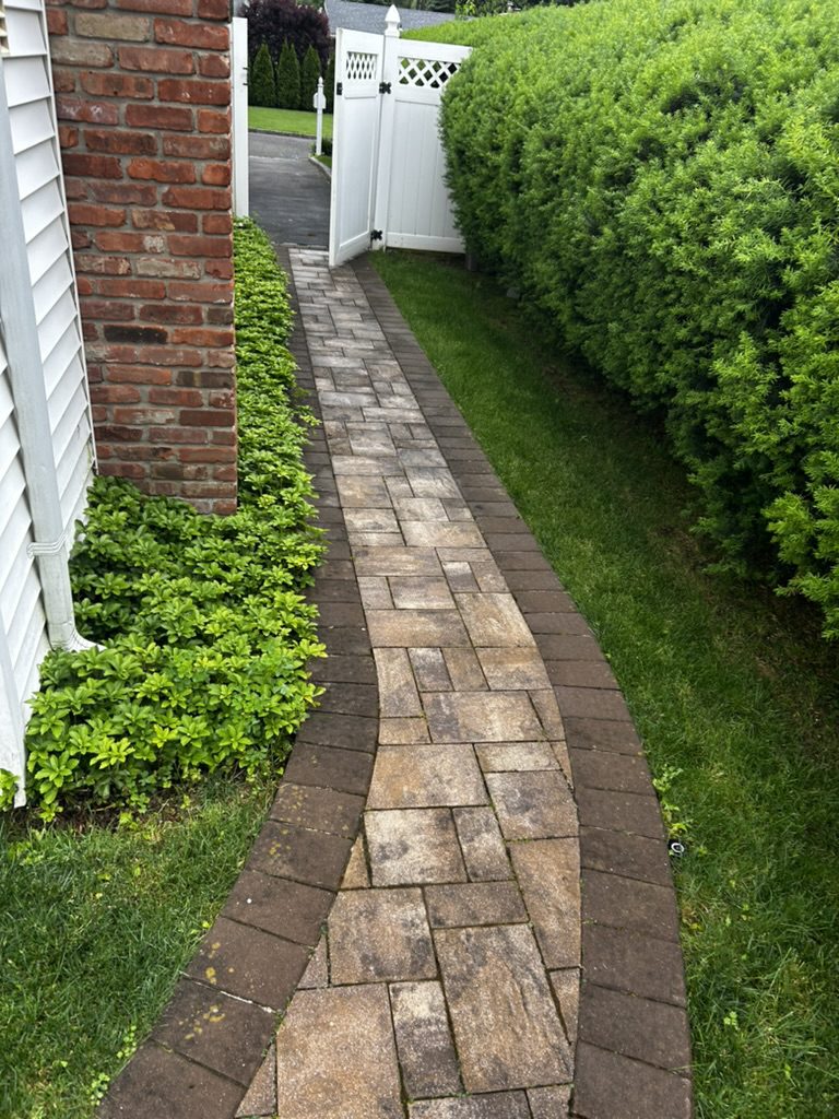 Paver walkway before cleaning